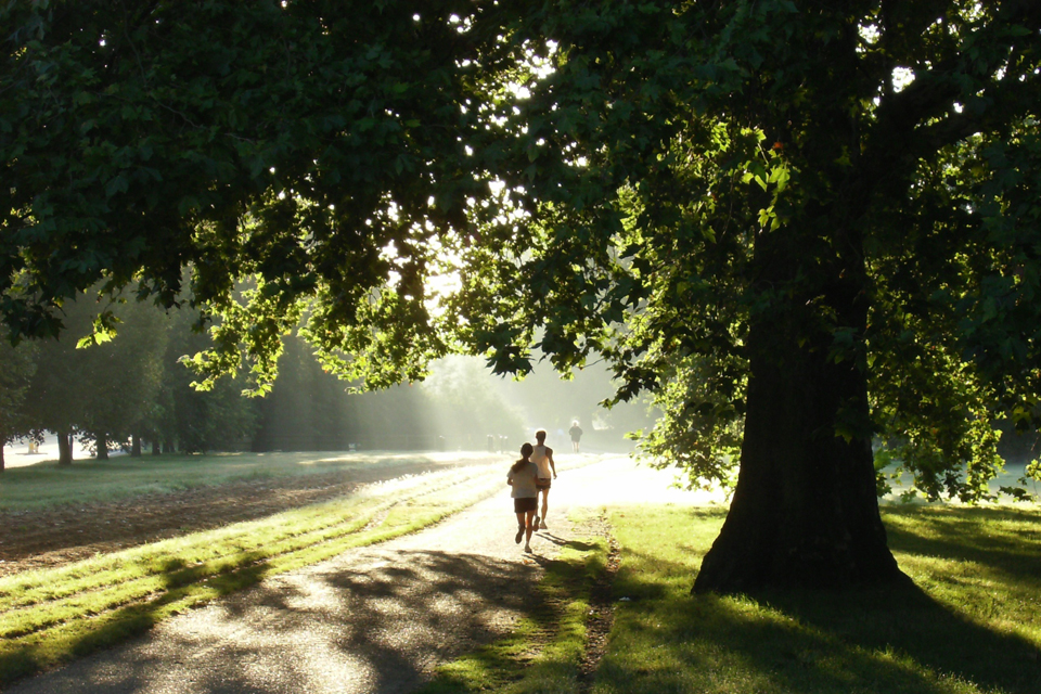 Two people jogging into the light in Hyde park, a green park with lots of trees and grass.